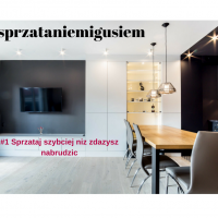 #sprzataniemigusiem-2