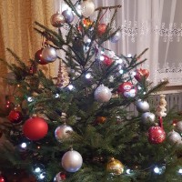 IMG_5724